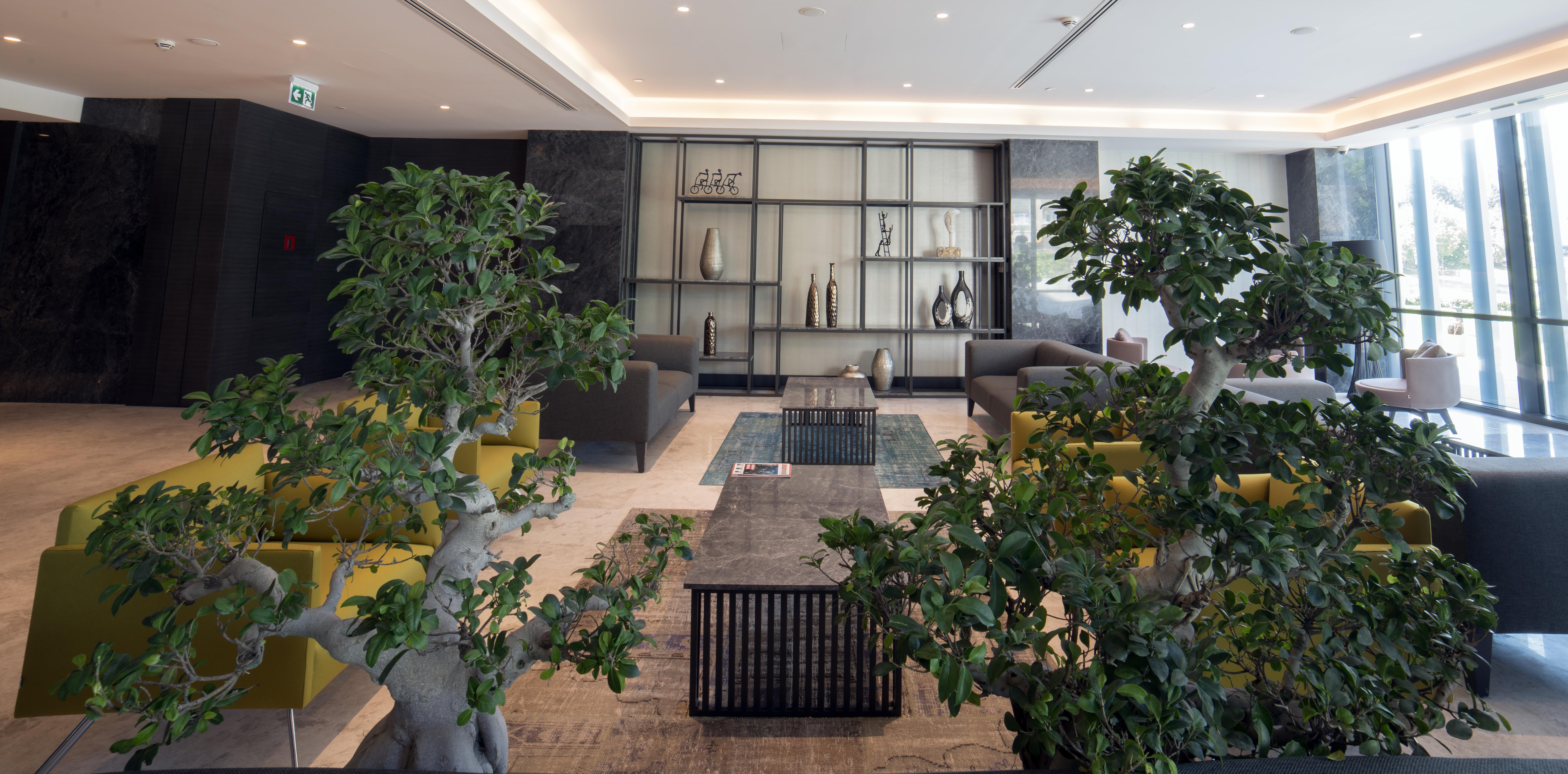 Wish More Hotel Istanbul Exterior photo The lobby of the hotel